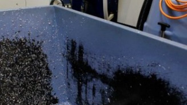 EADS откри официално завод за самолетни компоненти в Румъния