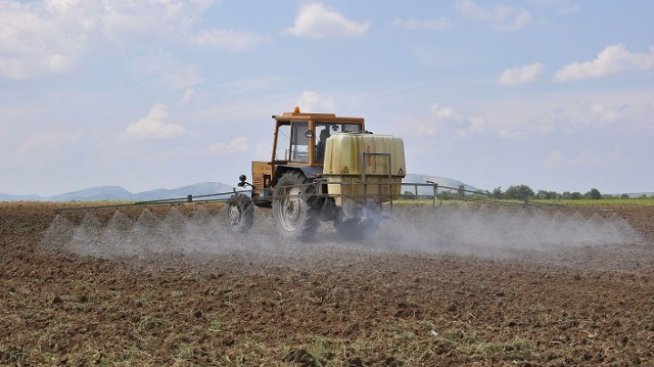 Кои стопанства печелят от реформата на директните субсидии?