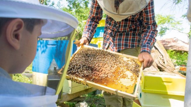 Акционерите на "Бии Смарт Текнолоджис" ще гласуват за преизбиране на съвета на директорите