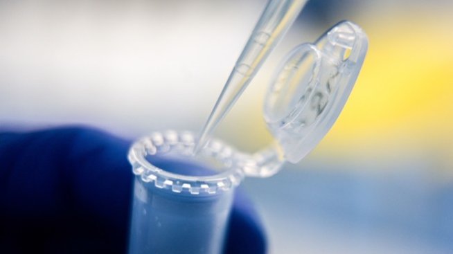 1589 са потвърдените нови случаи на Covid-19 в България