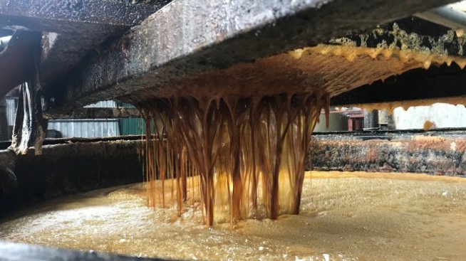 Една трета от използваното готварско олио в Европа вероятно е фалшиво