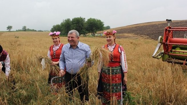 Очаква се добив от 5 млн. тона пшеница тази година