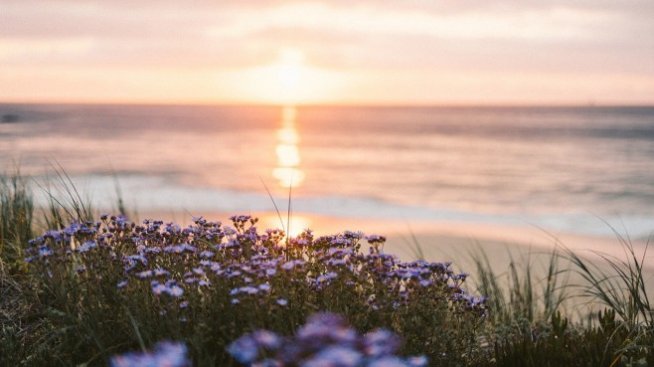 Графика на деня: Парите са най-големият проблем за пътуванията това лято