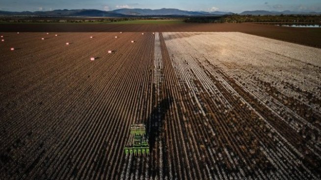 Земеделската земя в Югозападна България е поскъпнала с близо 70% през 2021 г.