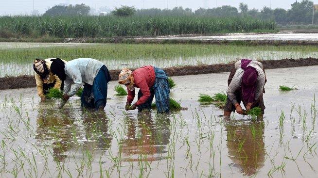 Кадър на деня за 2 юли