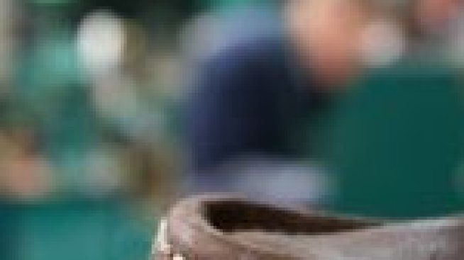 Занаятчии съживяват наемния пазар на партерни помещения в столицата