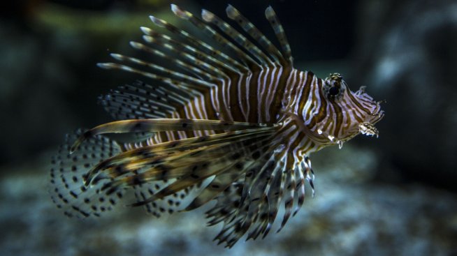 Нова компания за рисков капитал залага на биоразнообразието 