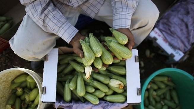 Мнозинството страни в ЕС искат да продължи дебатът по регламент за биопроизводството