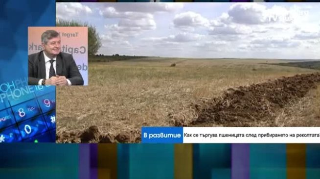 Защо има по-слаба реколта от пшеница в България тази година? 