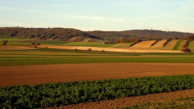 Фермери подадоха над 3 хил. проекта за инвестиции в стопанствата