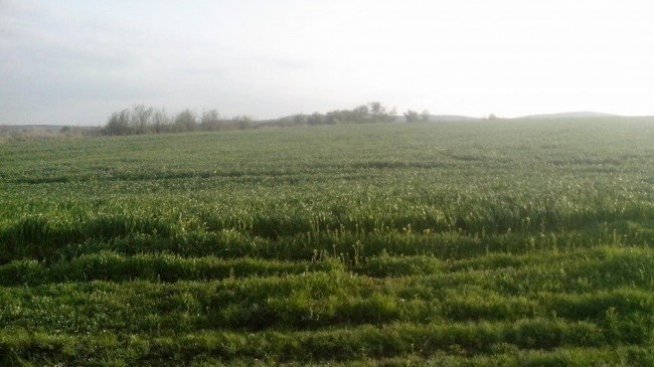 Още 3,2 млн. лева за земеделски производители по ПРСР