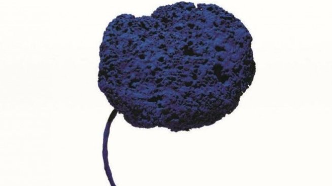 Над 1 млн. евро за една гъба?