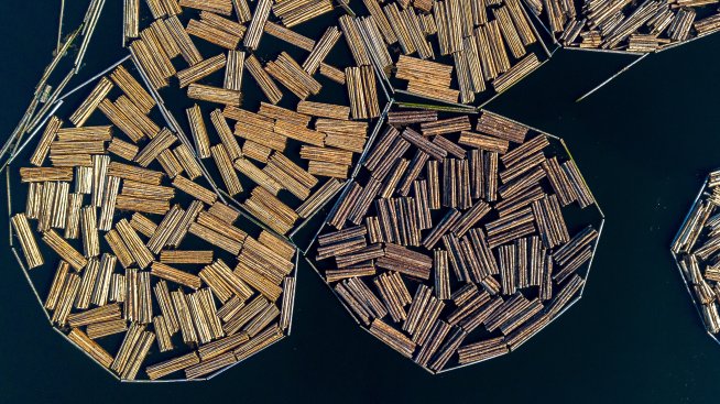 Тръмп наложи мита от 10% върху вноса на дървен материал и 25% за шкафове и мебели