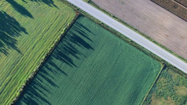 Увеличават бюджета на подмярката за малките стопанства 