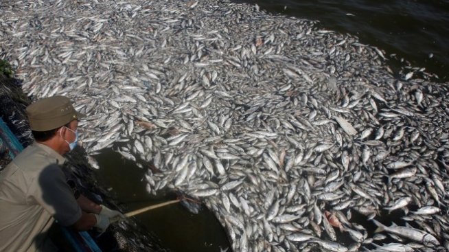 България изпреварва сериозно Румъния по усвояване на евросредства