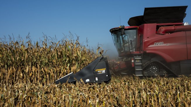 Световните цени на храните стигнаха 3-годишно дъно