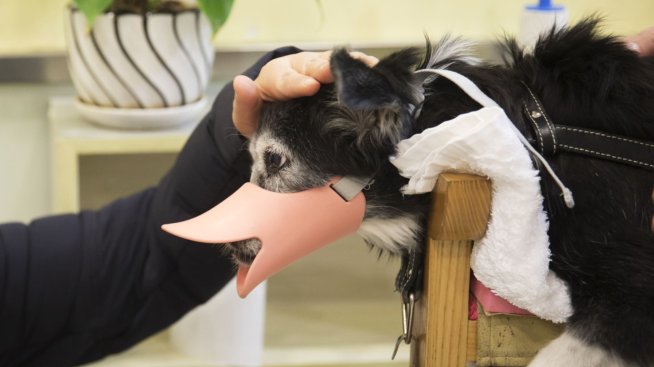 Ограничаването на свободното слово не помага в борбата с омразата