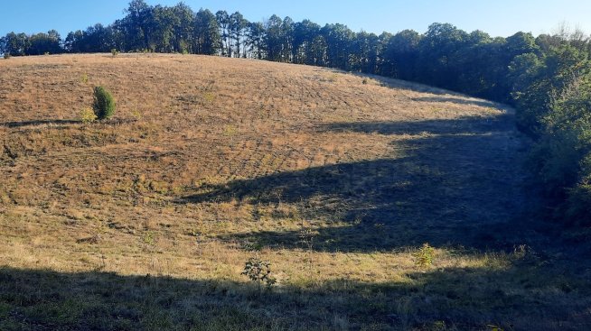 За втори пореден месец &bdquo;Адванс Терафонд&ldquo; не публикува цените от покупко-продажба на земя