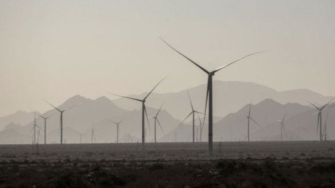 Как зелените облигации помагат в борбата с климатичните промени?