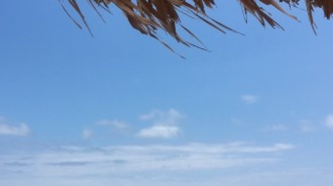 ВАП поиска проверка на строежите в Аркутино и Росенец