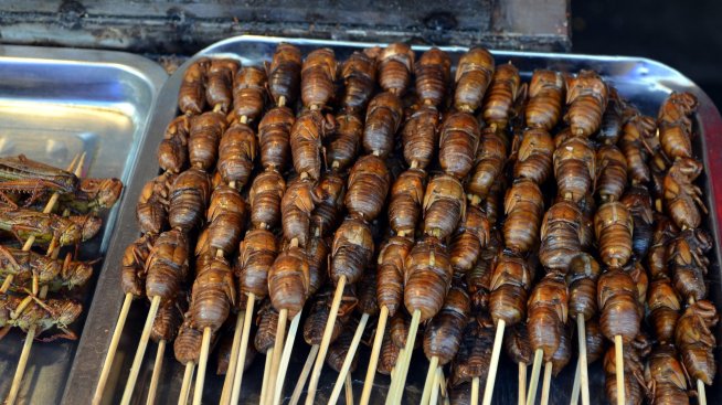 Швейцария иска децата да ядат по-малко шоколад и повече насекоми