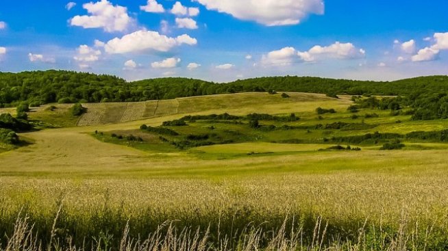 Кампанията за директни плащания може да бъде удължена до 15 юни