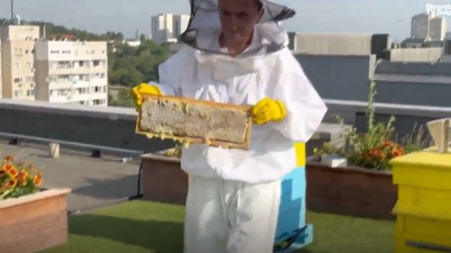 Градско пчеларство и енергийна ефективност превръщат „Бизнес парк София“ в зелен "град в града"