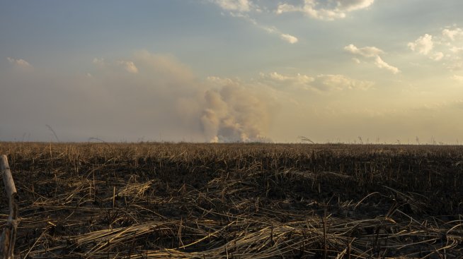 Гърция инвестира над 2 млрд. евро за борба с последиците от изменението на климата