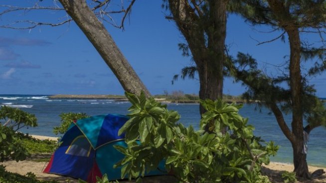 Румен Драганов: България може да увеличи поне три пъти броя на къмпингите