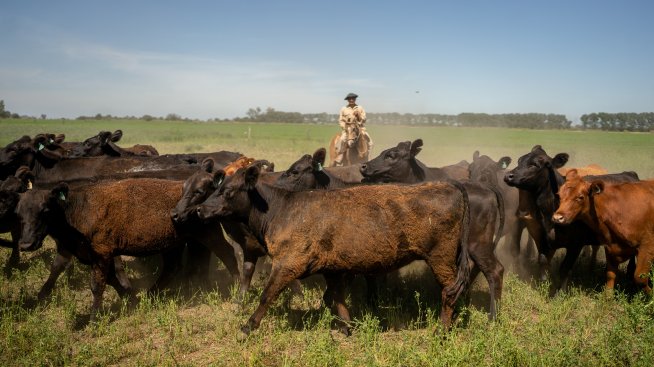 Любовта на потребителите към пържолите тласна световните цени на месото до нови върхове