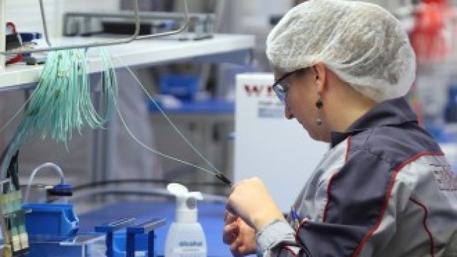 Около 40% от работещите българи се трудят в сектора на услугите