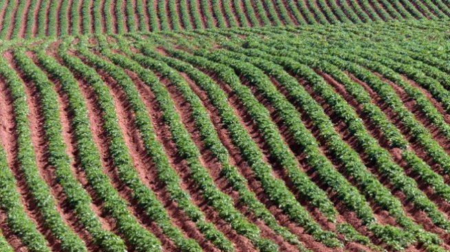 КЗК разреши обединение в сектора на растителната защита