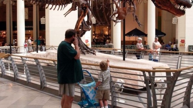 Да вложиш в тиранозавър рекс вместо в облигации