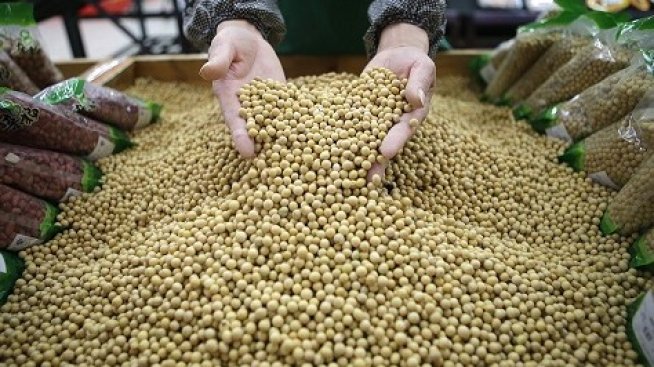 Европейският съюз отглежда едва 10% от соята, която преработва