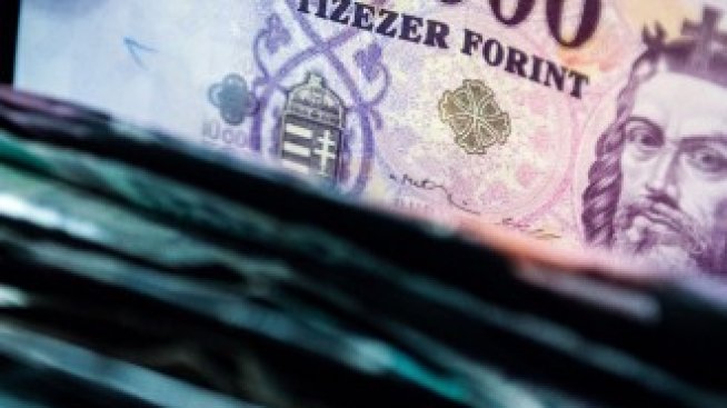 Заради колебливия валутен курс унгарците губят вяра във форинта