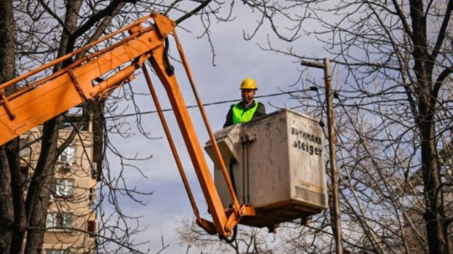 С близо 900 хил. лева ще бъдат осветени алеите на парк "Заимов" в София