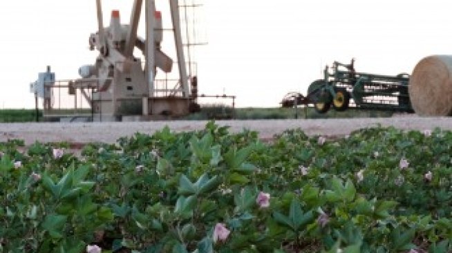 Цените на петрола се понижават в очакване на нови икономически данни*
