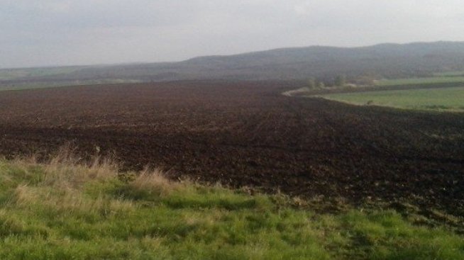 За първи път от над 3 години Адванс Терафонд купува на цена под 800 лв./дка