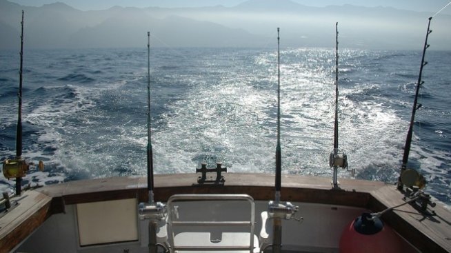 Агенцията по рибарство е иззела 2300 метра бракониерски мрежи за седмица