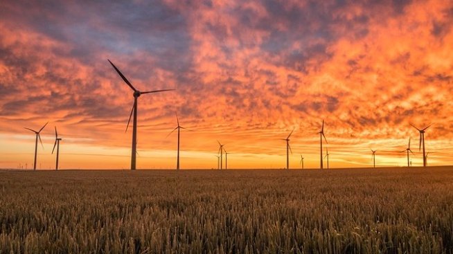 МАЕ: Без подкрепата на развиващите се страни климатичният преход е застрашен