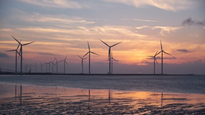 Вятърът на промяната: Как вятърните турбини ще помогнат на климата и на Украйна