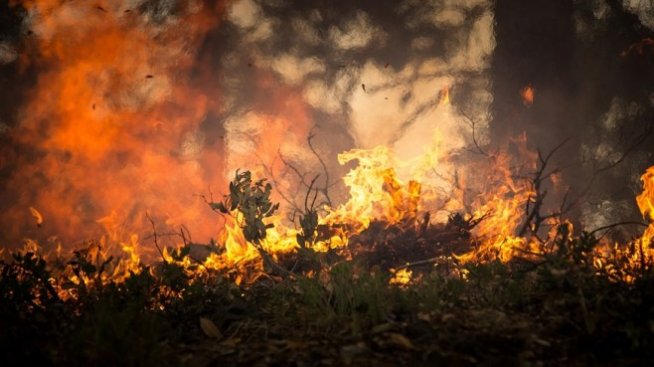 Частично бедствено положение в община Бургас заради пожар