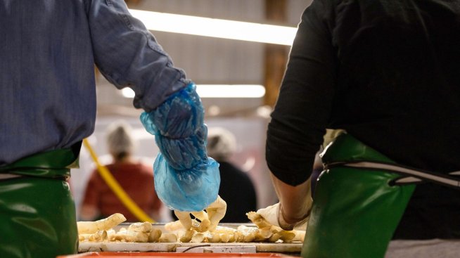 Безработицата в еврозоната е намаляла до 6,4% през април