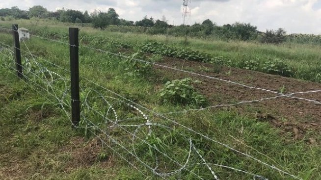 Руските ветеринарни власти забраниха вноса на свинско месо от България