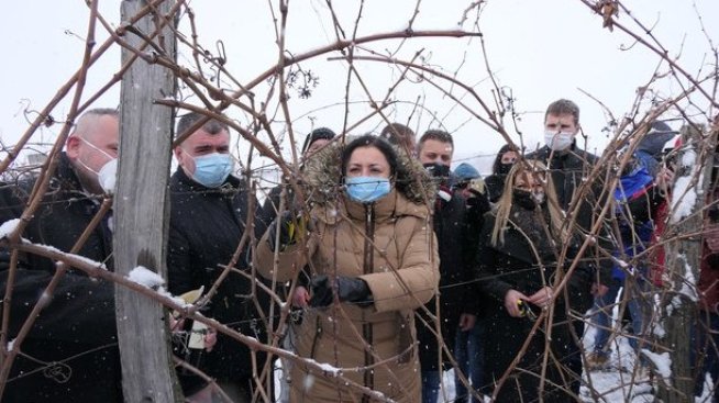 Винопроизводителите могат да кандидатстват за представяне на продуктите в ЕС
