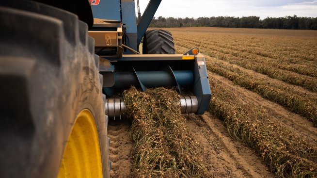 Младите фермери ще могат да кандидатстват за безвъзмездна финансова помощ до 31 януари