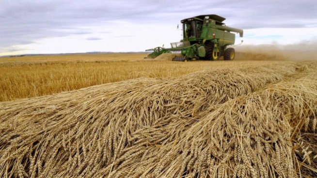 Търговията със селскостопански стоки на ЕС достига 347 млрд. евро през 2021 г.