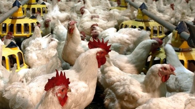 "Градус" отчита стабилна печалба при умерен ръст на приходите към 30 юни