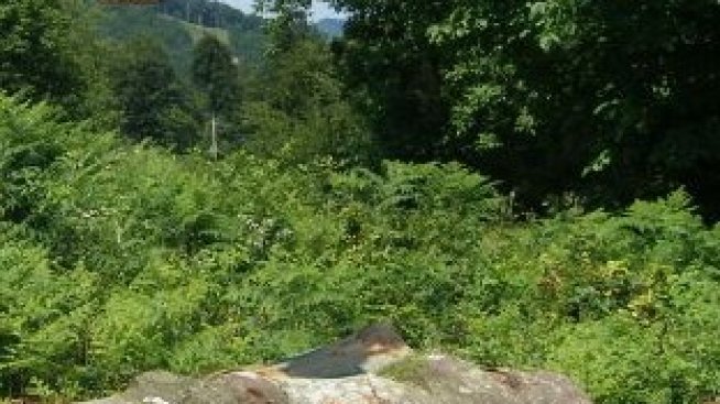 Мебелният бранш обмисля сигнал до ЕК заради манипулации с борсовата търговия