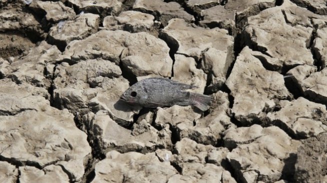 Сушата в Източна Африка ще става все по-тежка